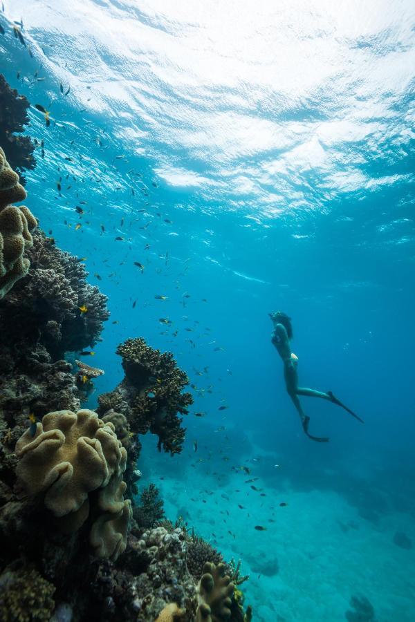 Reef View Hotel Νήσος Χάμιλτον Εξωτερικό φωτογραφία